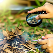 Image réaliste montrant l'utilisation d'une loupe pour faire du feu, illustrant une expérience scientifique sur l'allumage par concentration de lumiÚre.