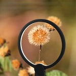 Loupe de lecture DMLA LED - Vignette | France Loupe