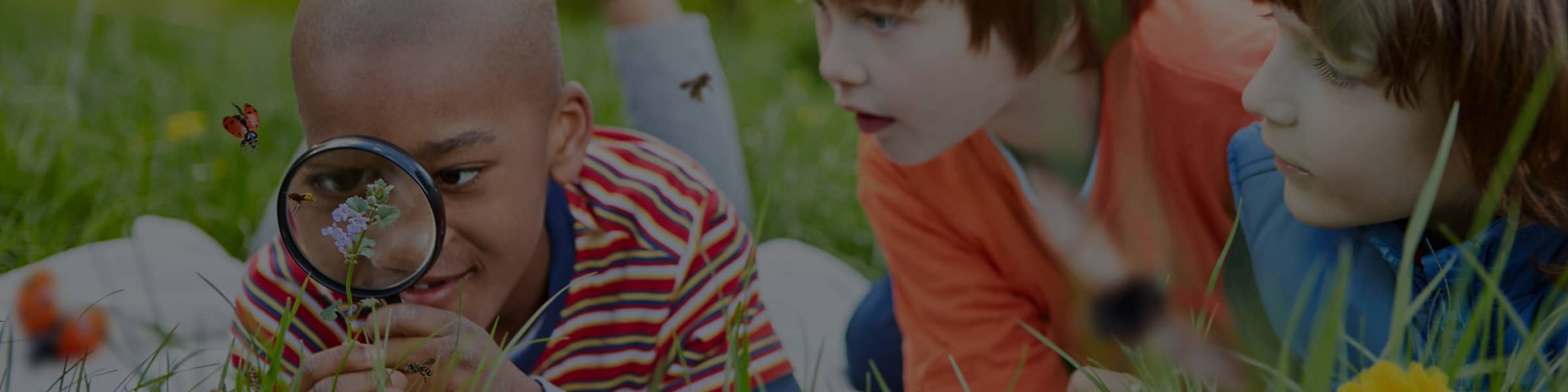 Enfants observant des fleurs et insectes avec une loupe