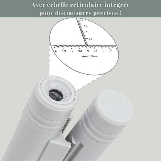 Echelle reticulaire sur loupe grossissement x100