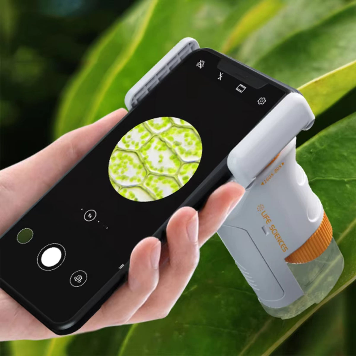 1000X Microscope numérique portable pour enfants – Écran 4K 2 1000X Microscope numérique portable pour enfants – Écran 4K 2